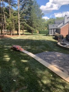 A backyard with a brick walkway and a lawn mower.