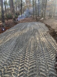 A dirt road in the woods with a tire track in the middle.